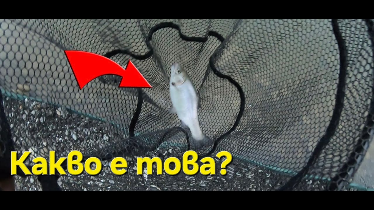 Странен е този риболов! Only Catch