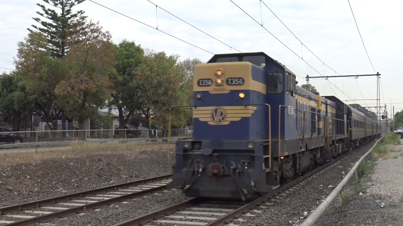 T356 T395, Steamrail otway explorer 2019