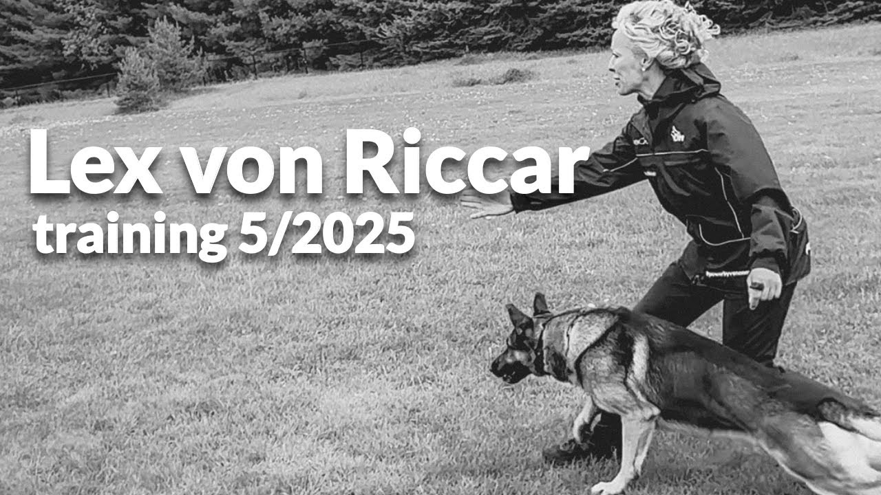 Lex von Riccar - training 5/2025
