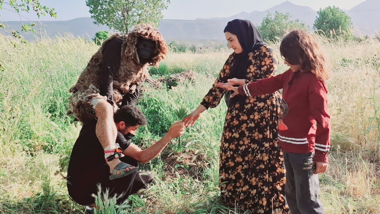 Love and Challenge: Maboy vs. Landlord