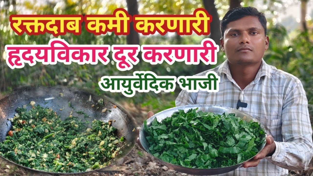 रक्तदाब हृदयविकार  ठिसूळ हाडे सर्व दूर करणारी आयुर्वेदिक भाजी | mohricha panachi bhaji |gavchi chav 