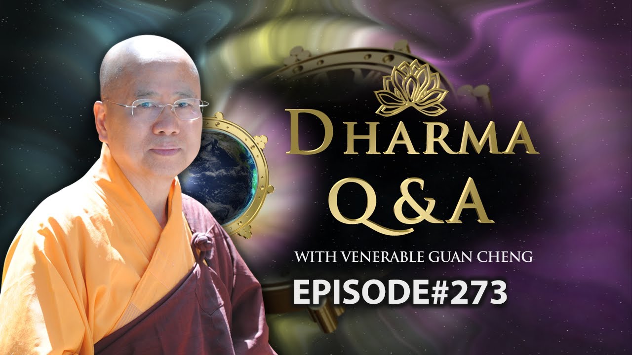 [English] Dharma Q&A Episode 273