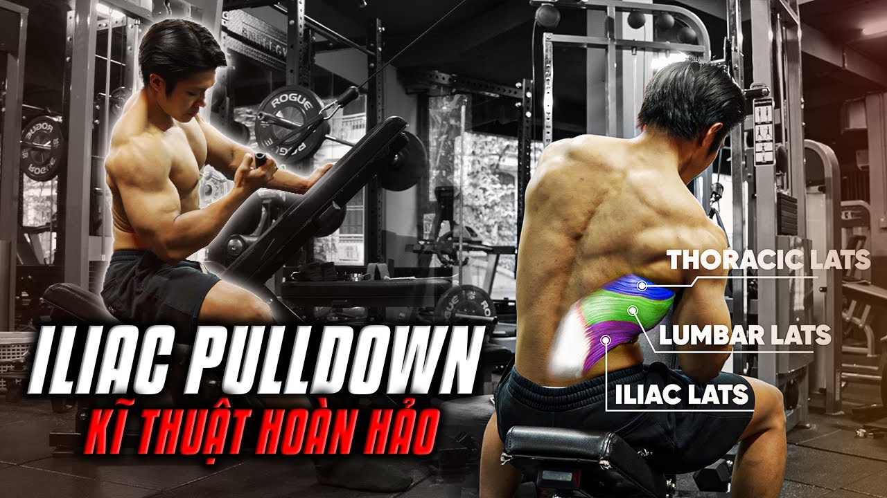 Kỹ thuật kéo ILIAC LATPULL DOWN - Kéo Xô Từng Bên Với Dây Cáp | T3KT