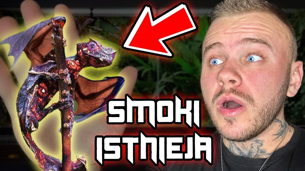 ‼️HODOWLA SMOKÓW W POLSCE‼️ZAWSZE MARZYŁEM O SMOKU 🤯