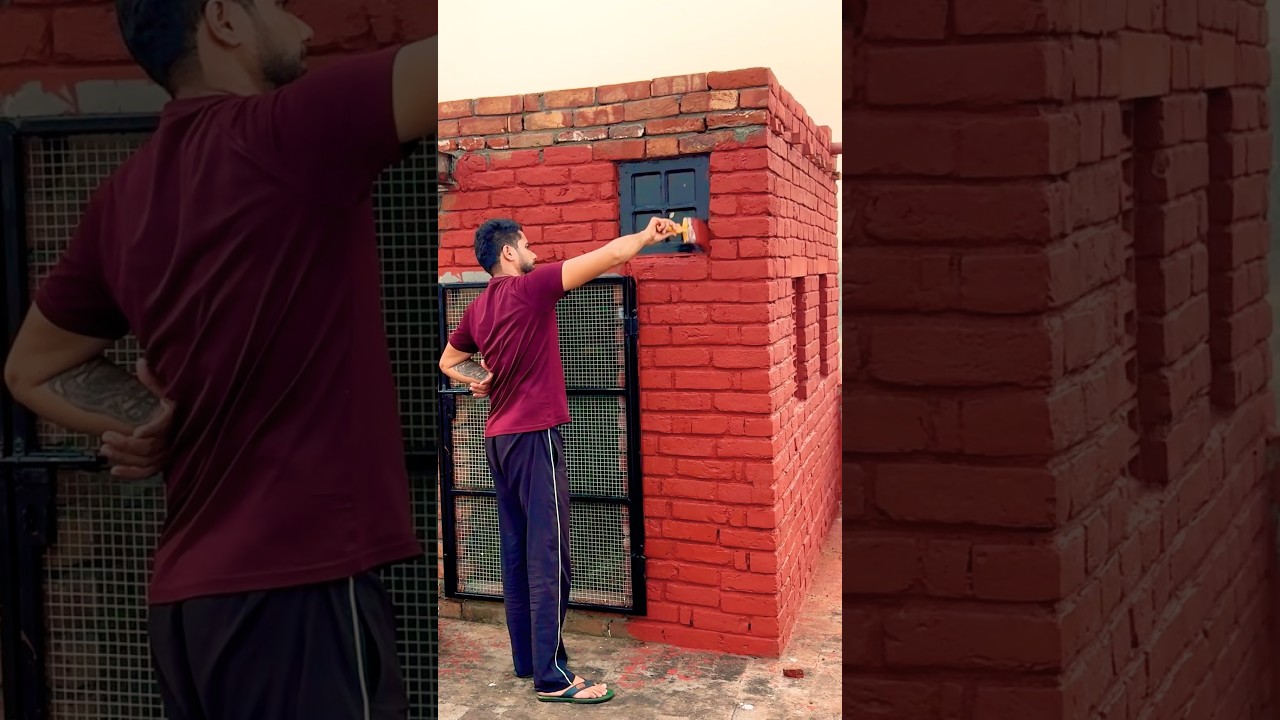 New Setup Te Rang Chal Pya🕊️ Part-2 #shorts #kabootar #pigeon #setup #petsvlog #petlover #punjab