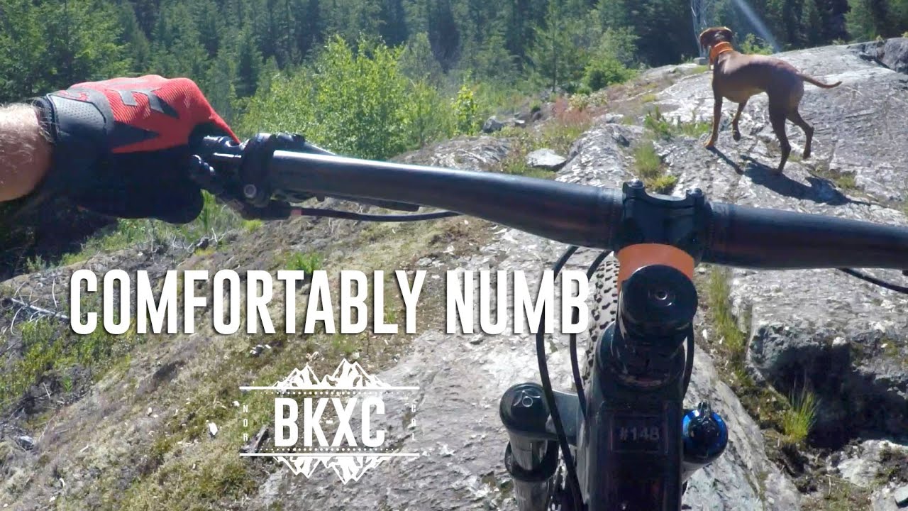 Comfortably Numb, Whistler Trail Guide