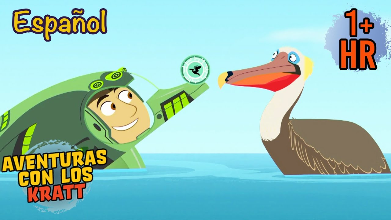 Transformaciones de criaturas caribe&ntilde;as | Episodios completos | Aventuras con los Kratt