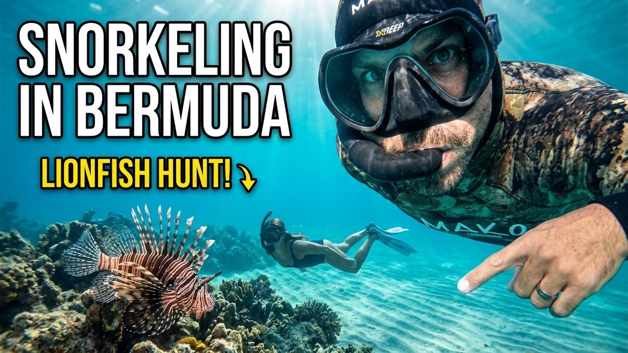 Snorkeling Church Bay Bermuda | Exploring and Hunting LIONFISH in 2020