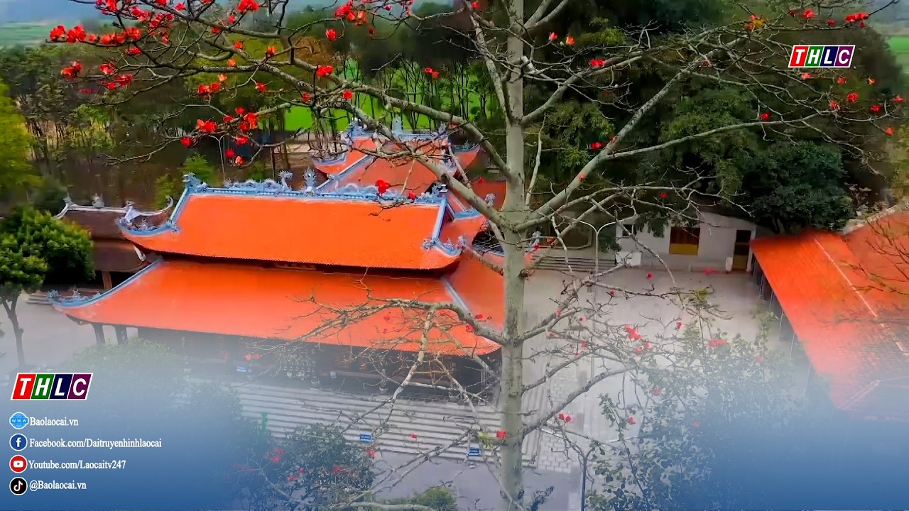 Văn hóa - Xã hội: Văn hóa - Thể thao (18/2/2026) | THLC