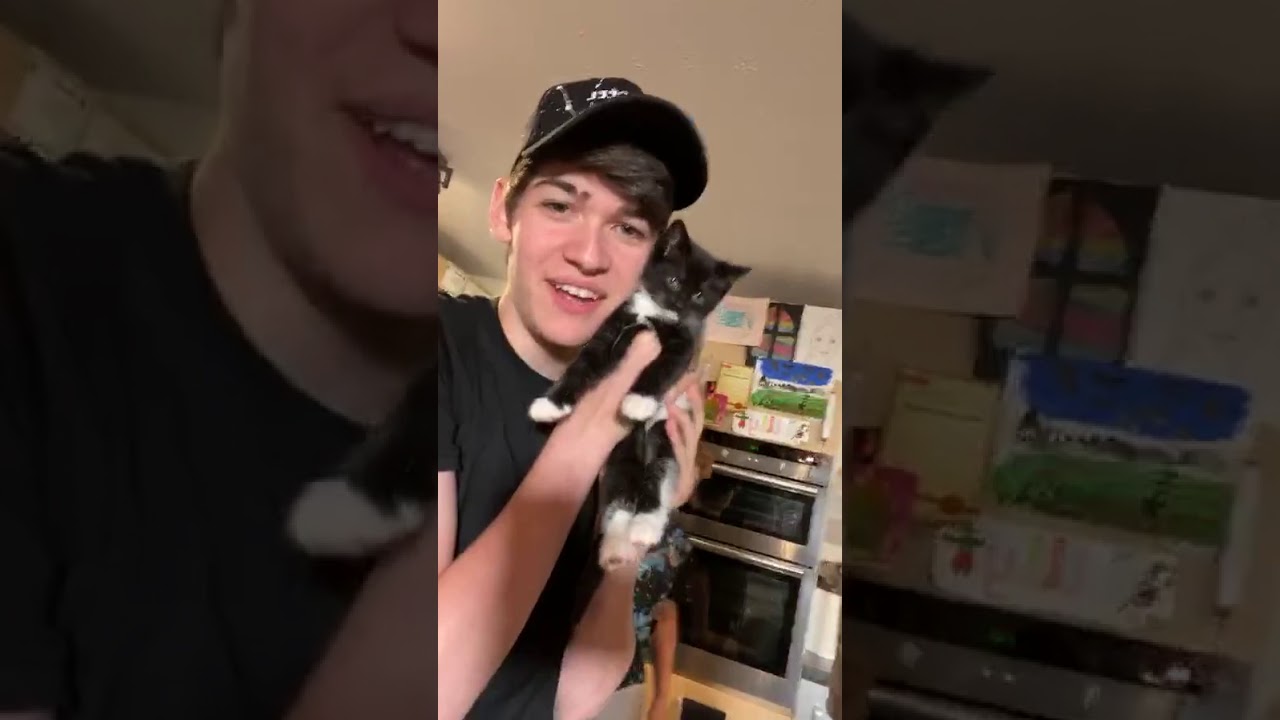 Max and Harvey LIVE! - 10.06.2020 - InstagramLivestream