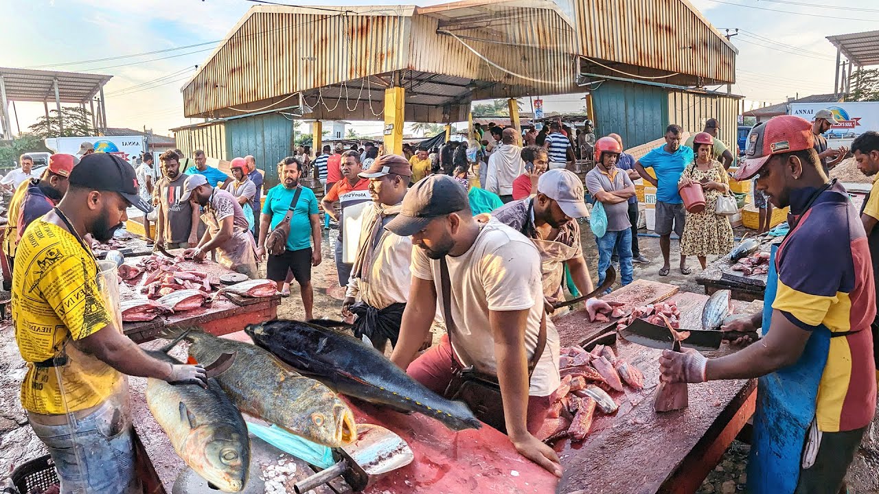 WoW AMAZING ITERESTING HUGE FISHES CUTTING SEASIDE FISH MARKET EXPERT MASTER  SHOW