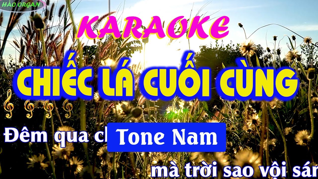 KARAOKE | CHIẾC LÁ CUỐI CÙNG ( Tone Nam ) | Beat Chuẩn mới nhất | HẢO ORGAN