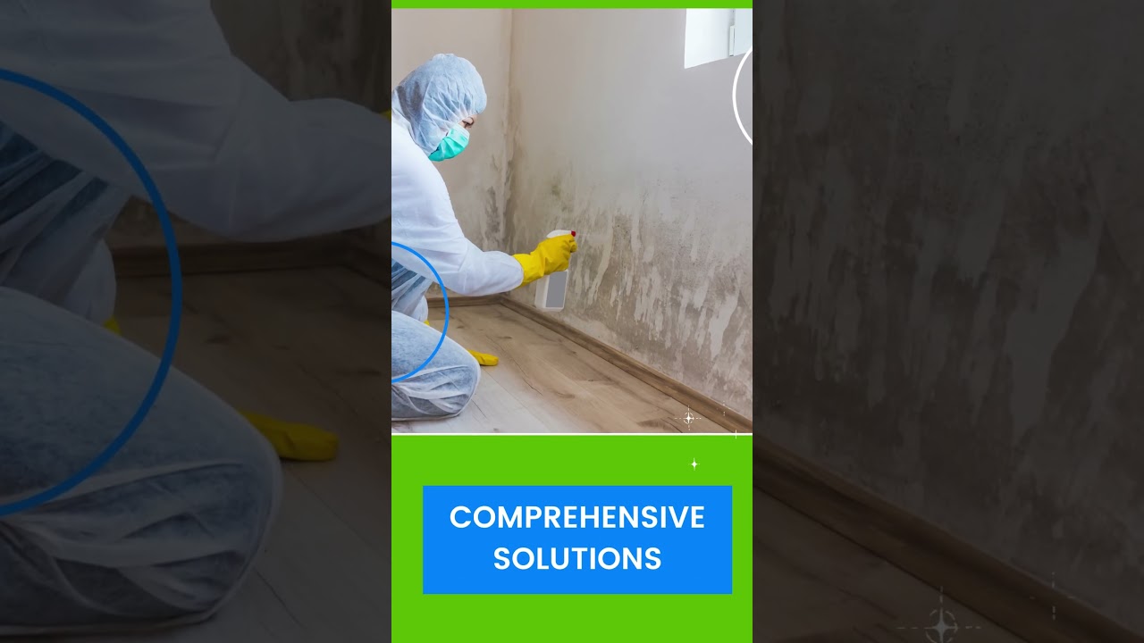 Mold removal testing assessment and remediation in New York City 212-784-6490