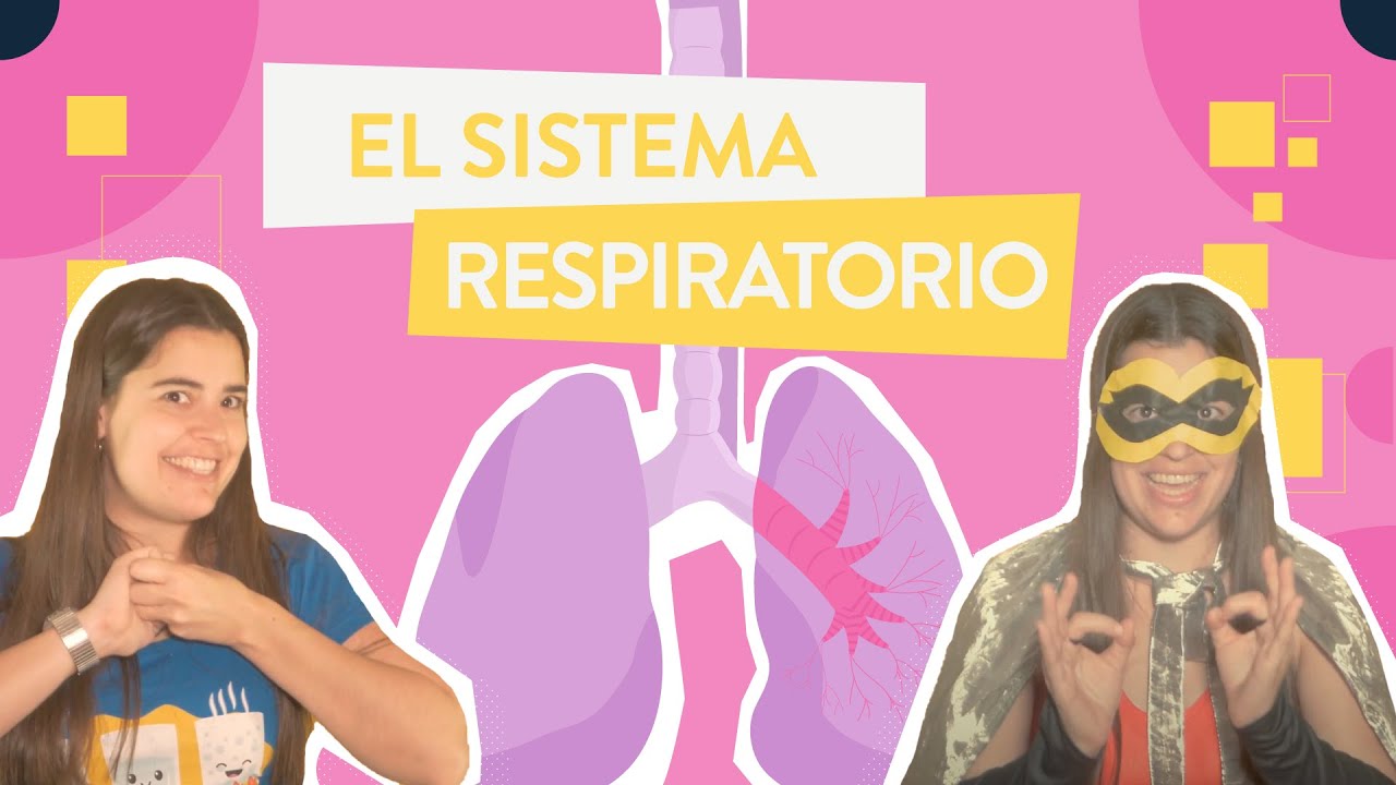 El sistema respiratorio (La NUTRICI&Oacute;N 2/4)