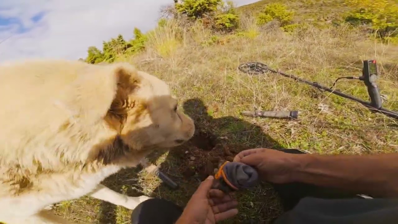Πρώτη εξόρμηση με on camera simplex ultra 