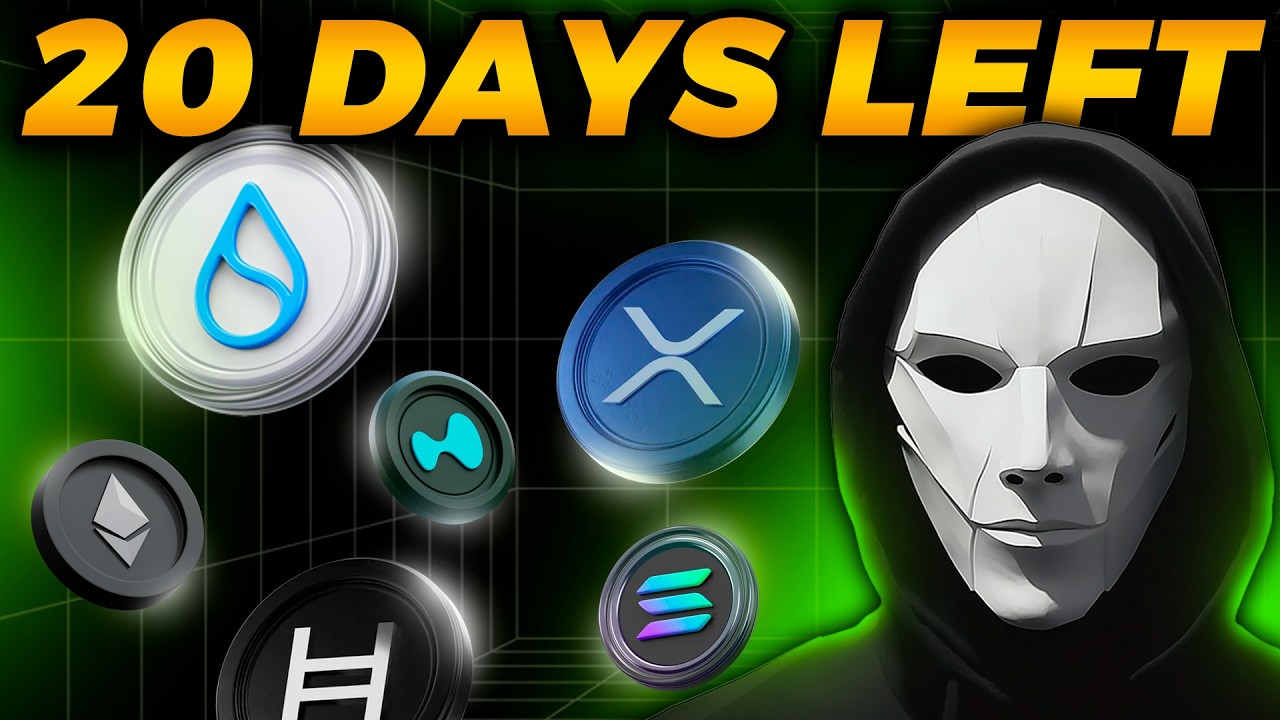 Finding The Top Performing Altcoins Over The Next Few Months! IT'S SO EASY!