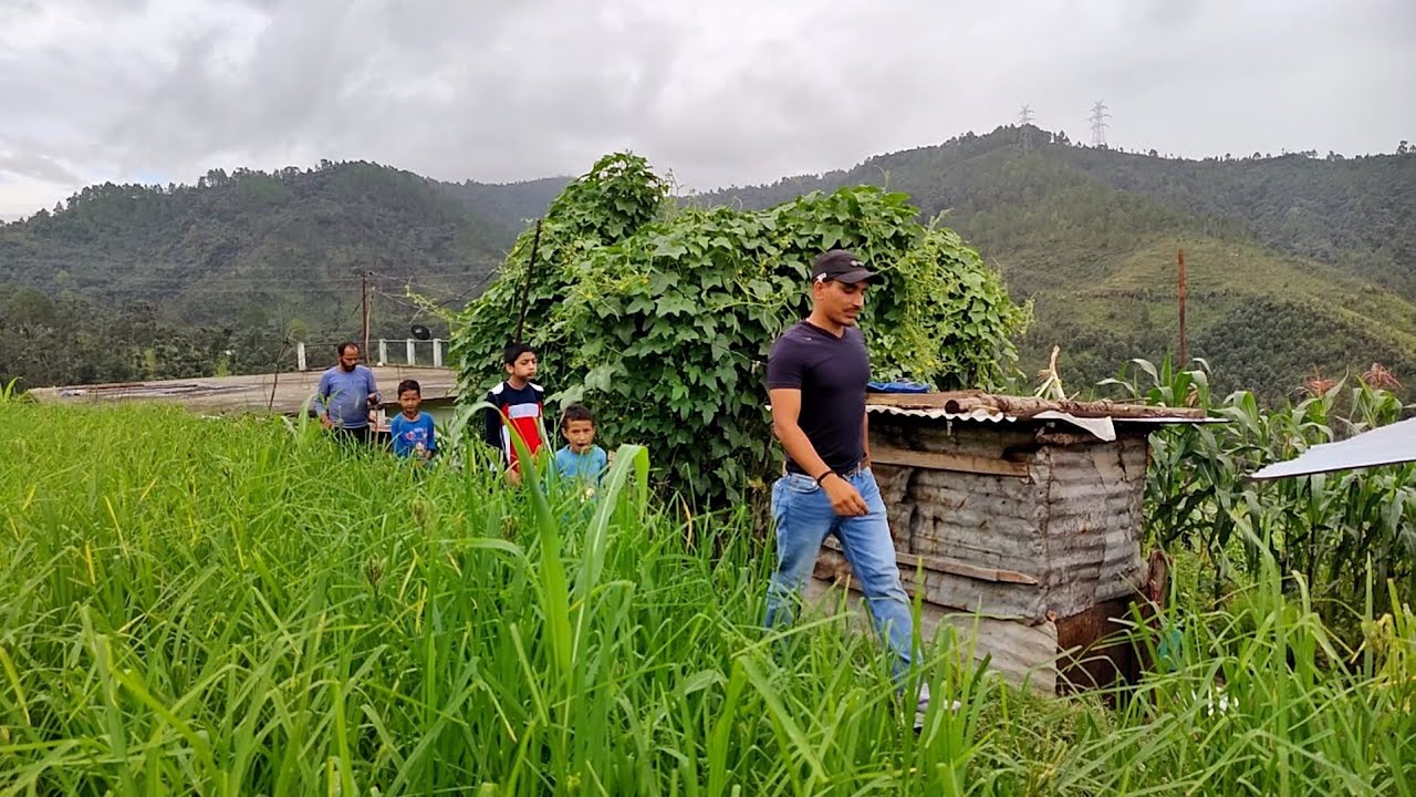 Uttrakhand Village Tour | Kumaon Region Uttrakhand|