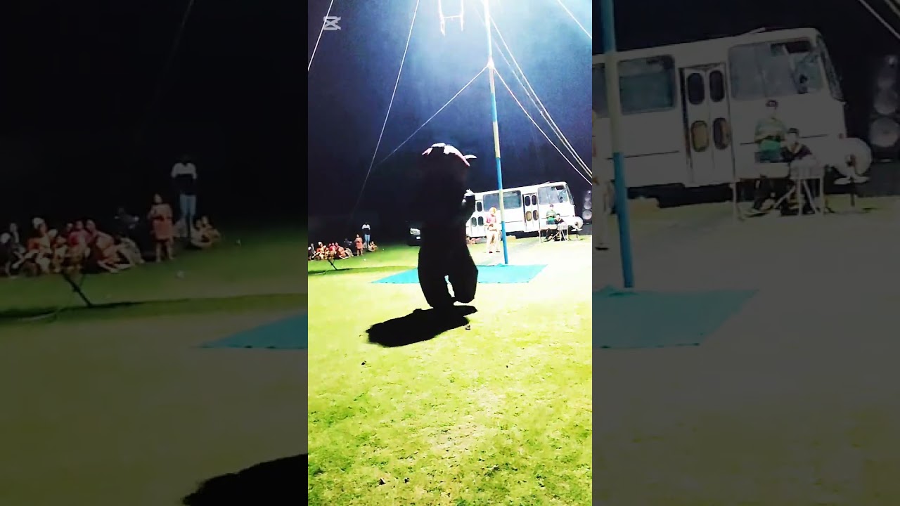 Andijon dorbozlardan vidyo lavxa #panda #andijonbozor #andijon_dorbozlar #andijon_dorvozlari #top