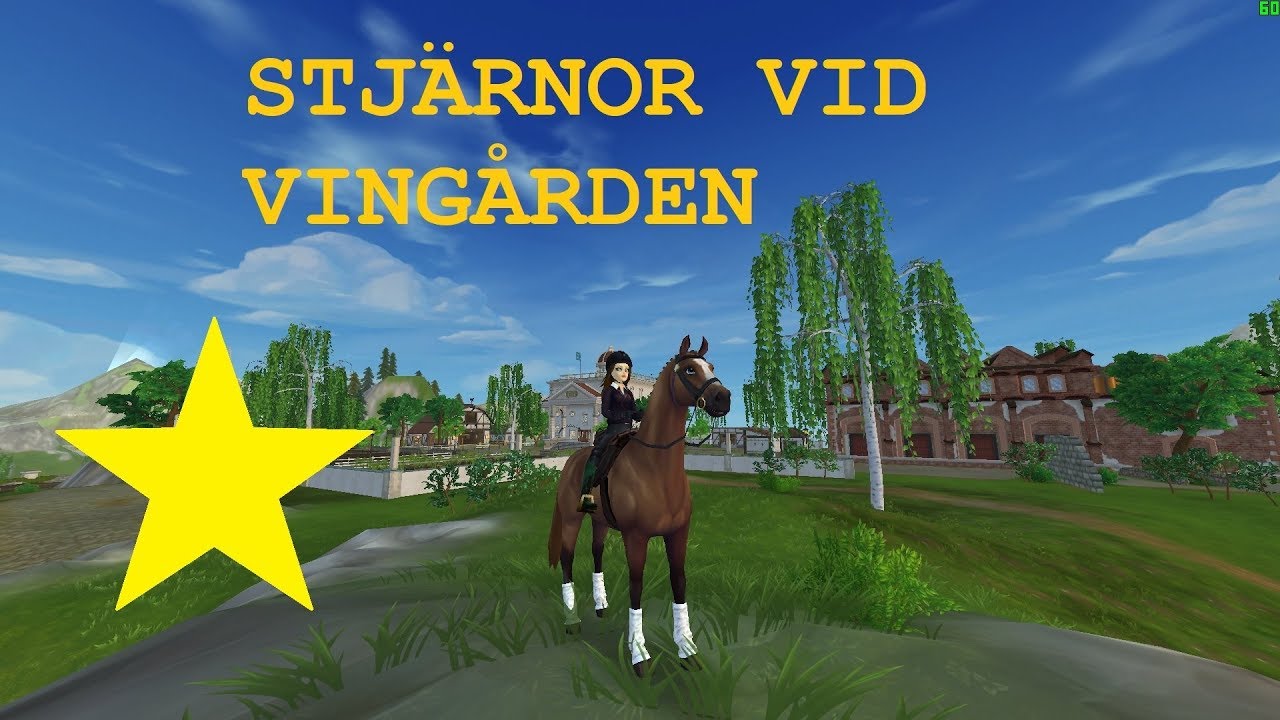 🌟 Alla stjärnor vid Vingården | SSO