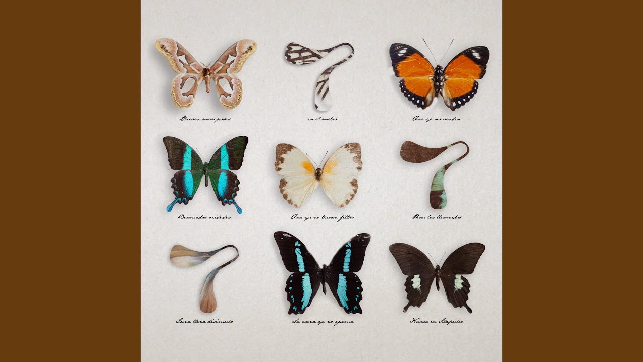 Mariposas (Studio Live)