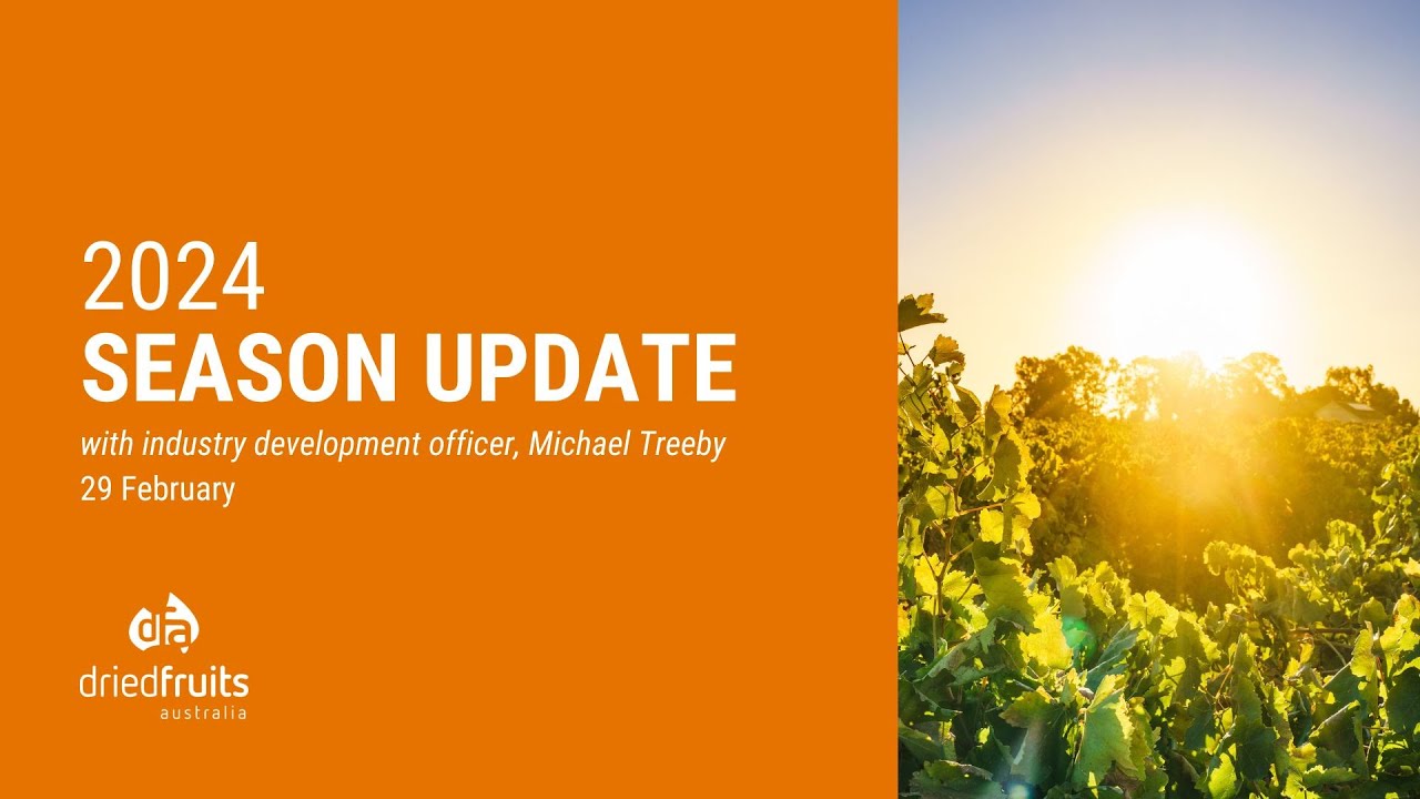 Australian Dried Grape February 2024 season update