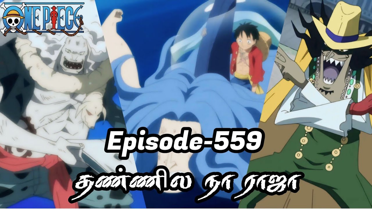 One Piece Episode-559 Tamil Explain | Story Tamil #onepiece #luffy #animetamil #onepiecetamil