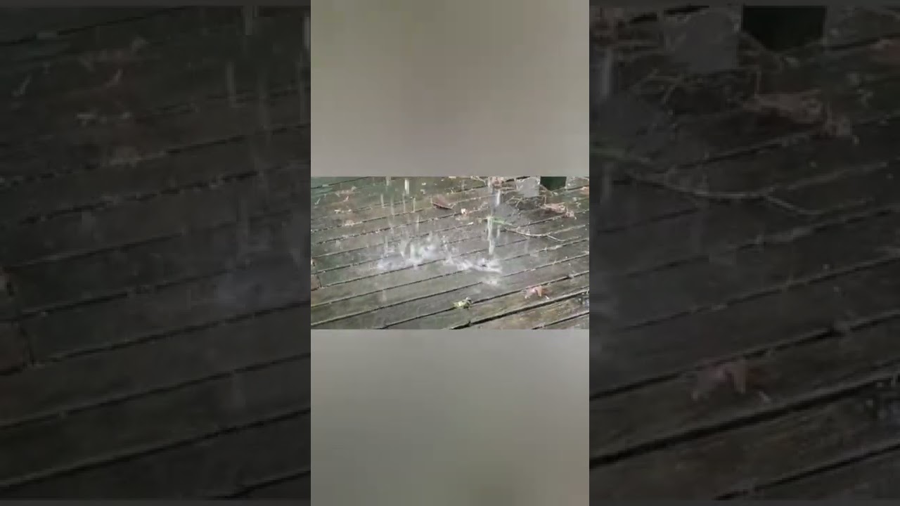 سبحان الله مطر غزير وشمس حارقة في ان واحد (USA  verginia)