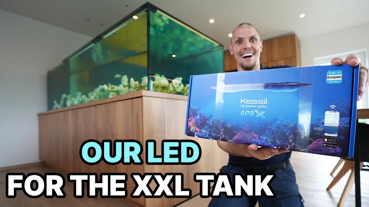 NEW LED for the XXL PENINSULA TANK! - Kessil AP9X