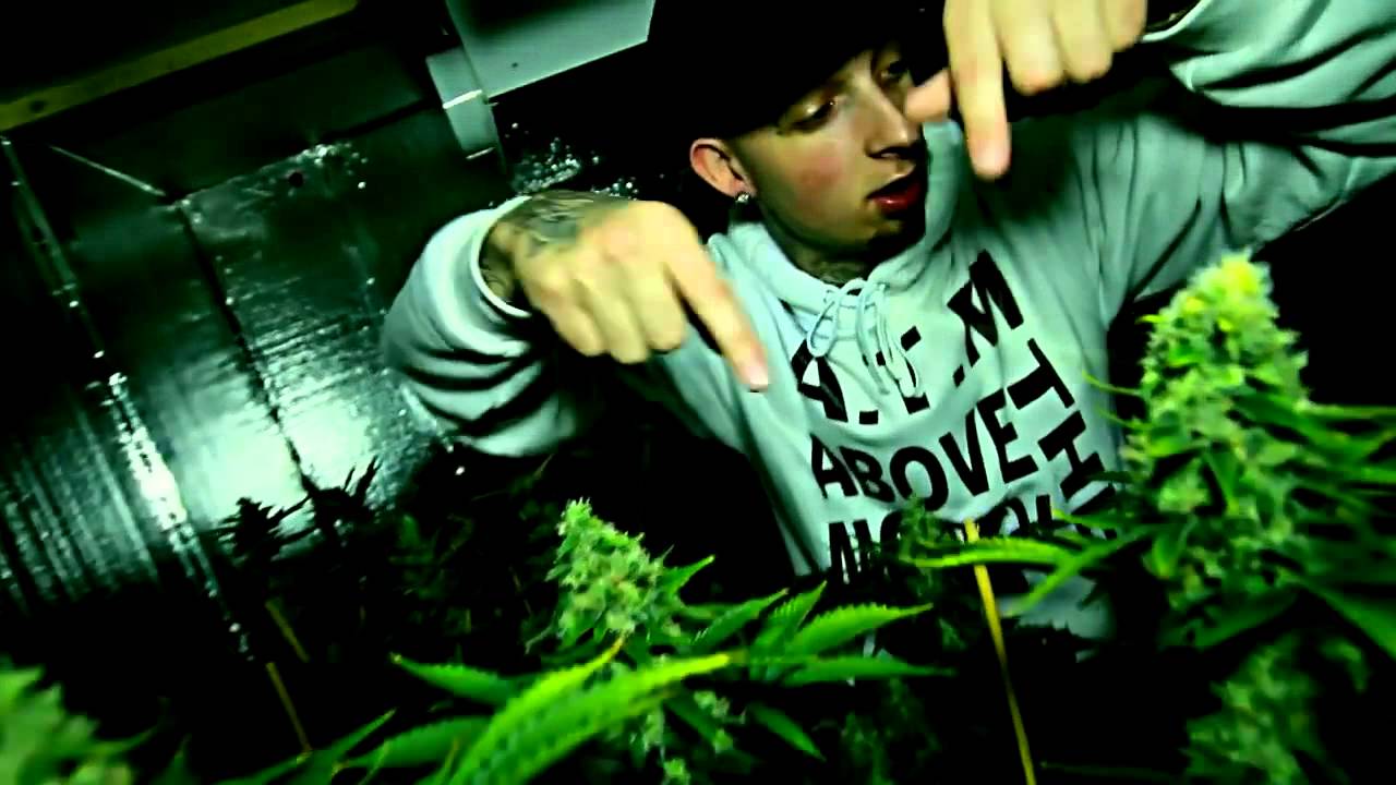 Kfree - Medicated