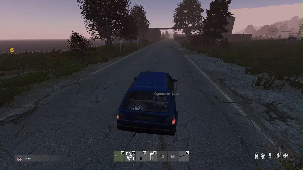 DayZ_20260211183143