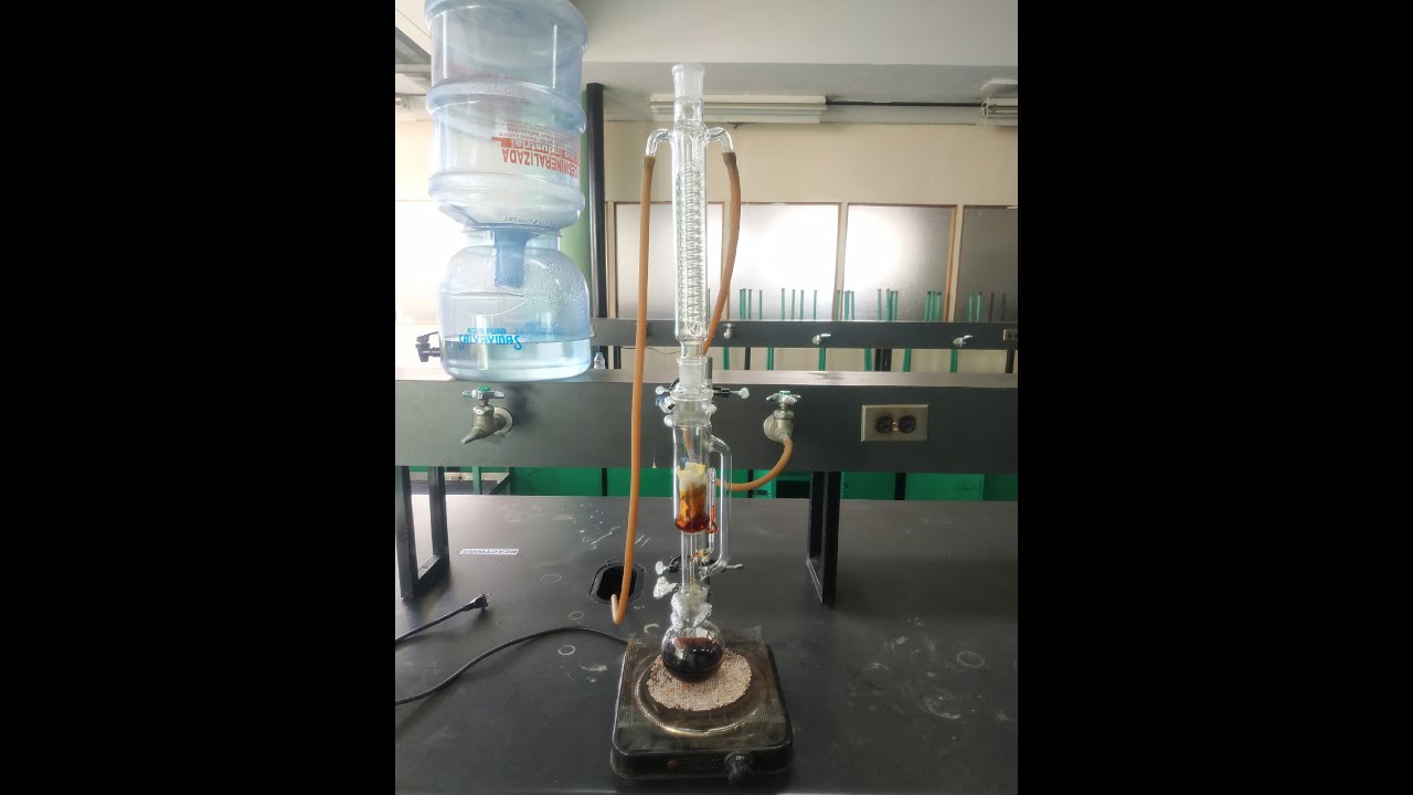 Extracción de bixina utilizando el sistema de extracción soxhlet FAUSAC/USAC