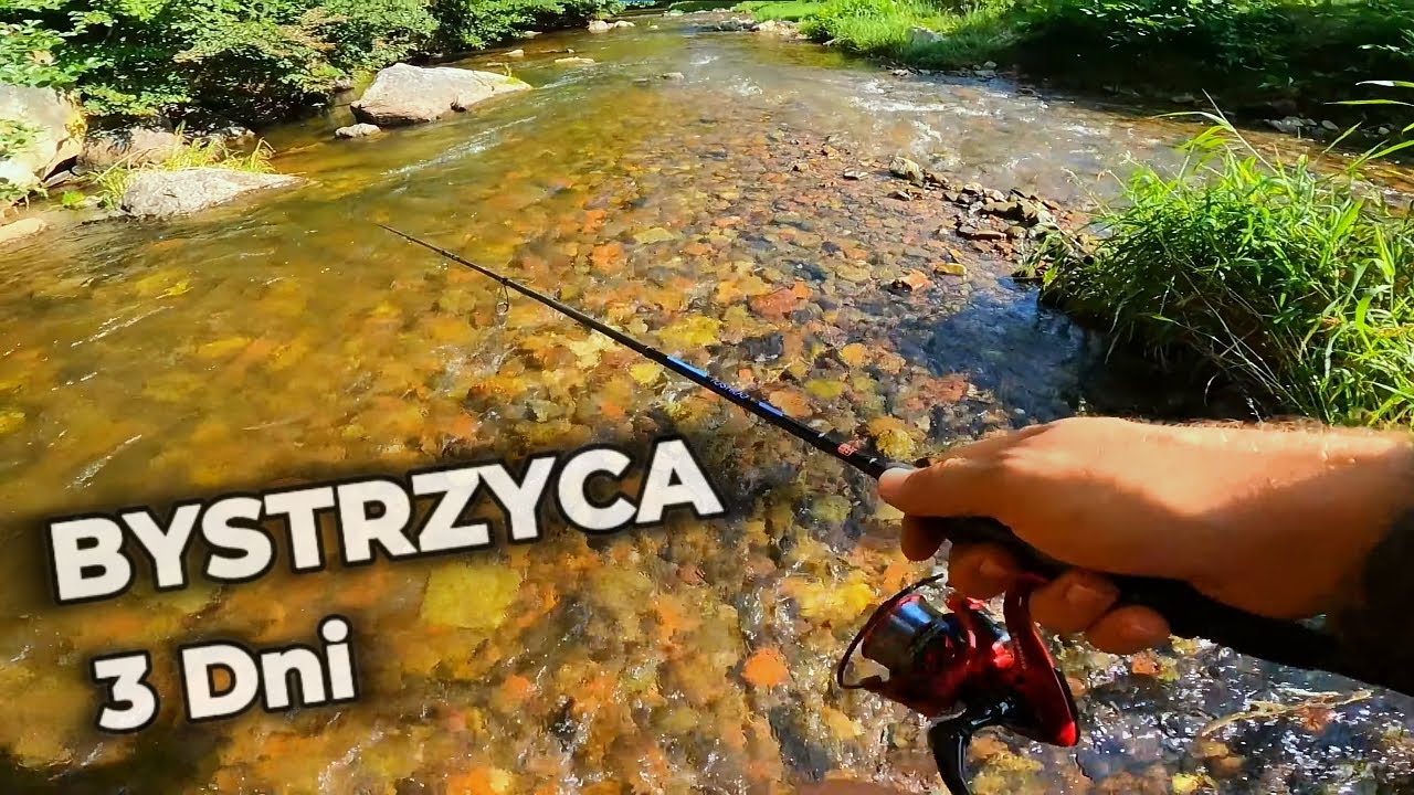 Bystrzyca: Wędkarski Survival Górską Rzeką – 
