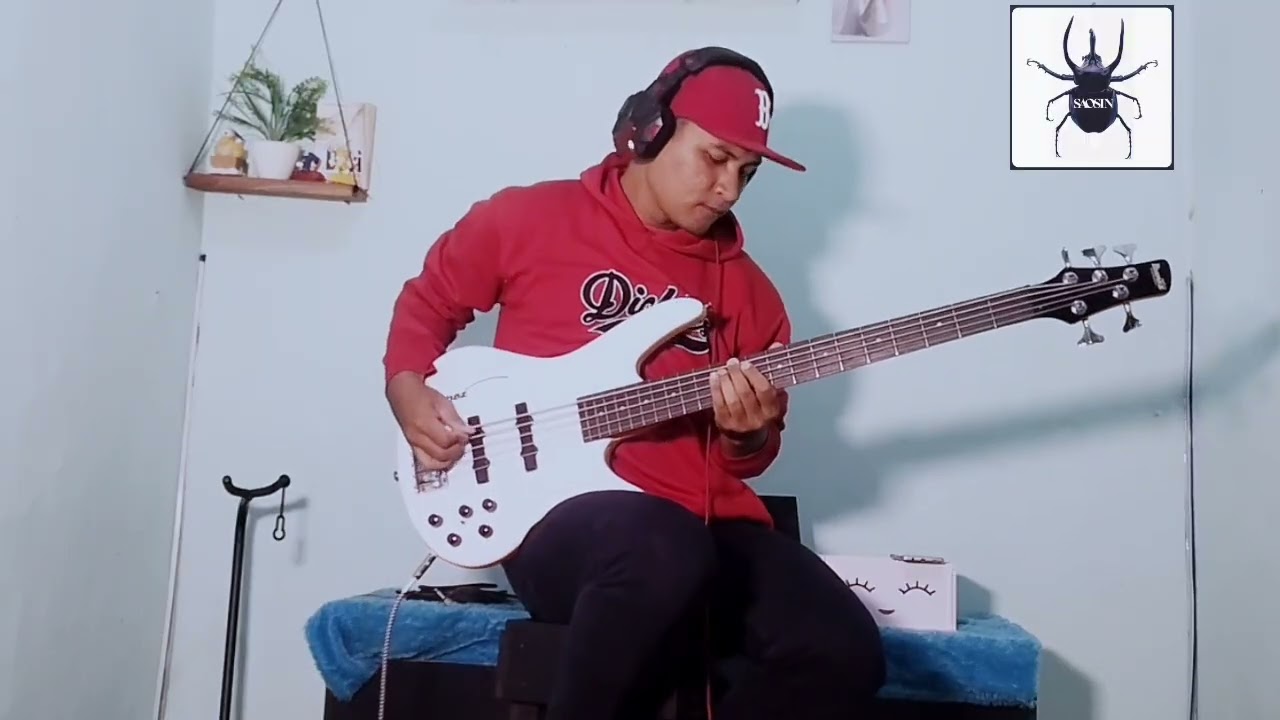 You're not alone ~ Saosin bass cover