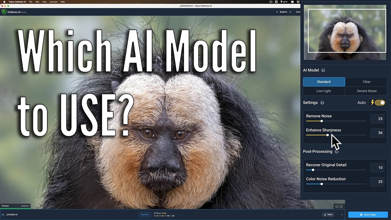 How to Choose Which AI MODEL to Use in DENOISE AI