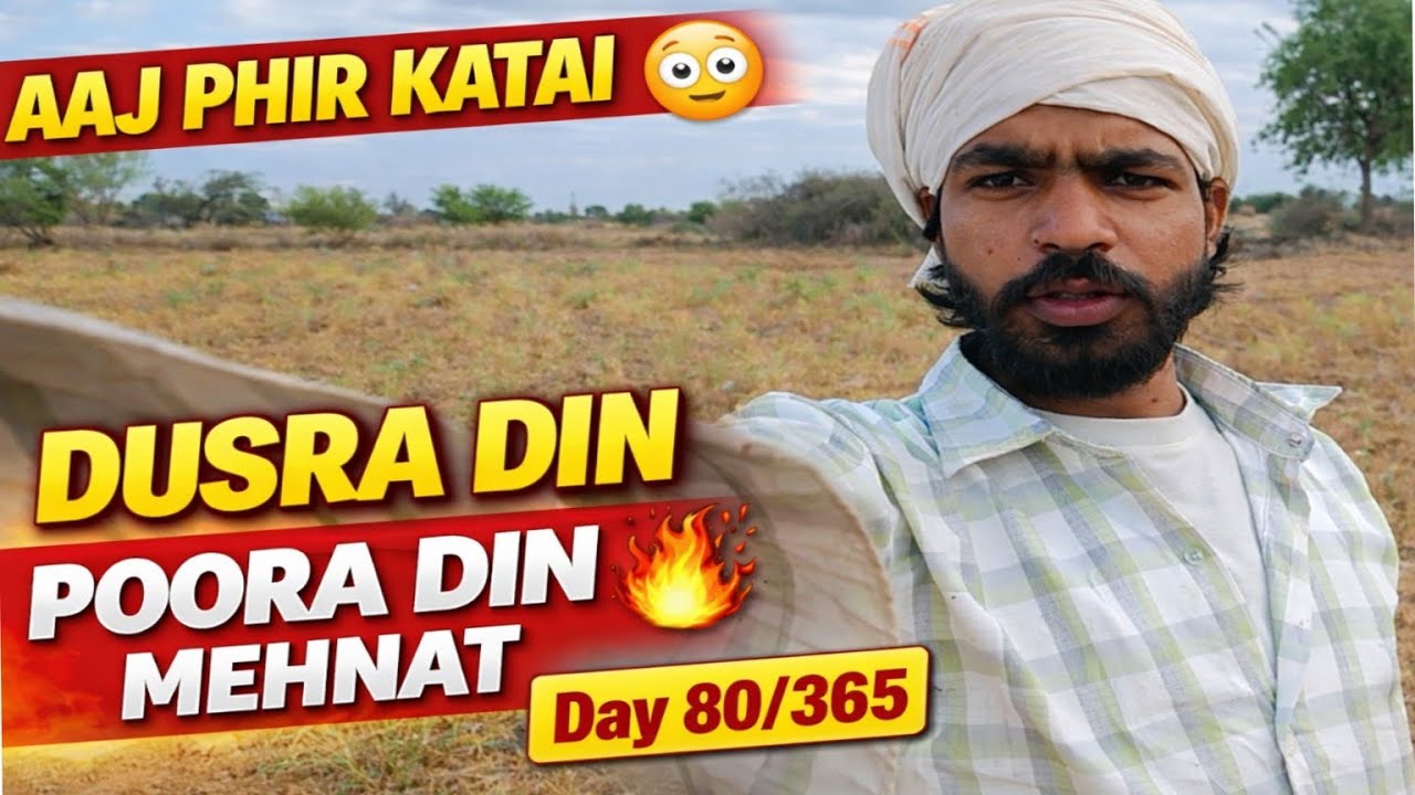 Apne Khet Me Fasal Katai Ka Dusra Din 🔥 | Hard Work in Village | Day 80/365