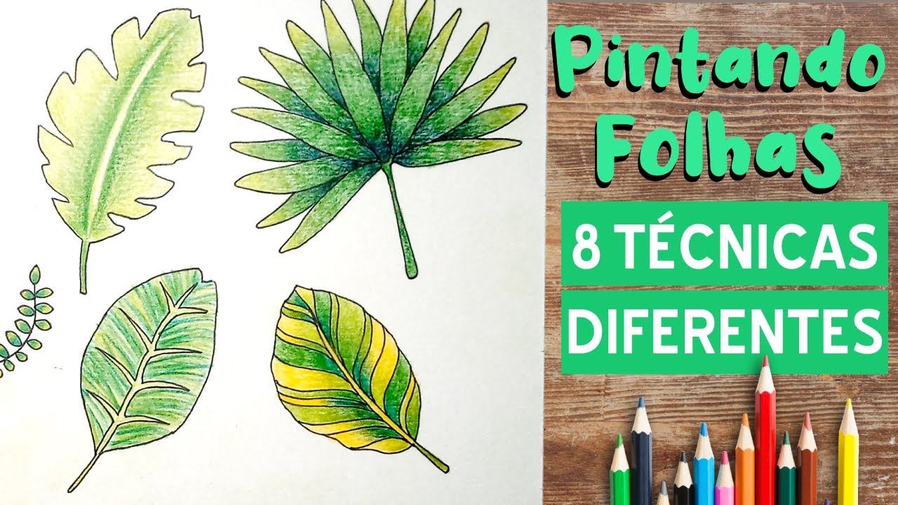 8 FORMAS DIFERENTES DE PINTAR FOLHAS COM O LÁPIS DE COR, FÁCIL! (PARTE 1)