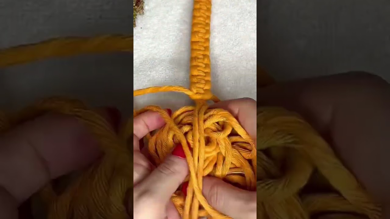 DIY Makrame dog leash tutorial #shorts #short #viral #tutorial #foryoupage