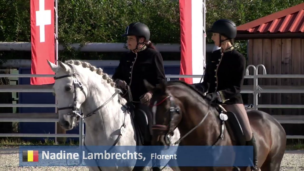 Cow Test (1st part) – European Championship Working Equitation – Obořiště (CZE) 22. 9. 2024