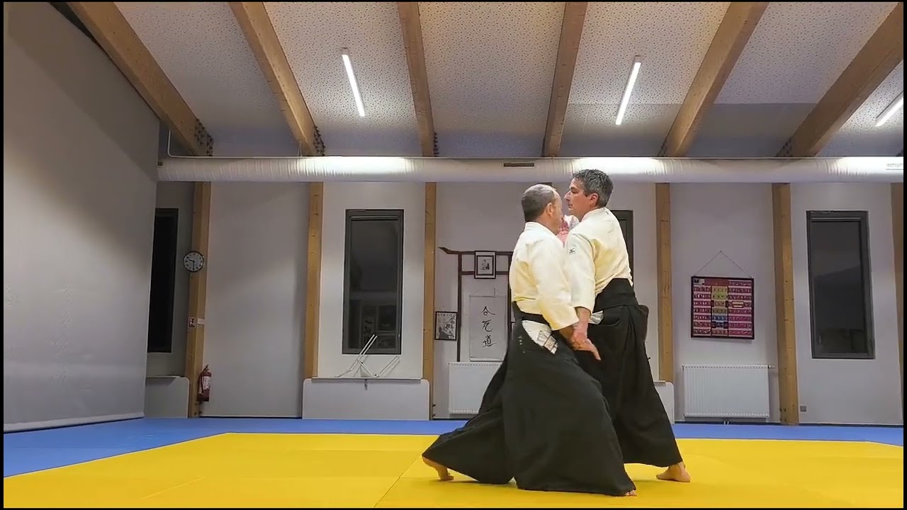 Explication saisie ryote dori tenshinage Bernard et Michel 11/02/2026