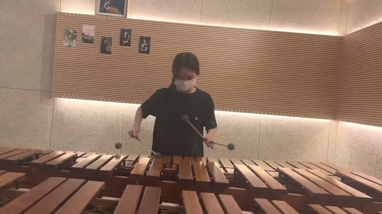 생상스 죽음의무도 마림바 김동연