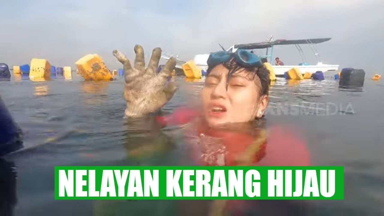 NELAYAN KERANG HIJAU | BERANI COBA (22/03/22)