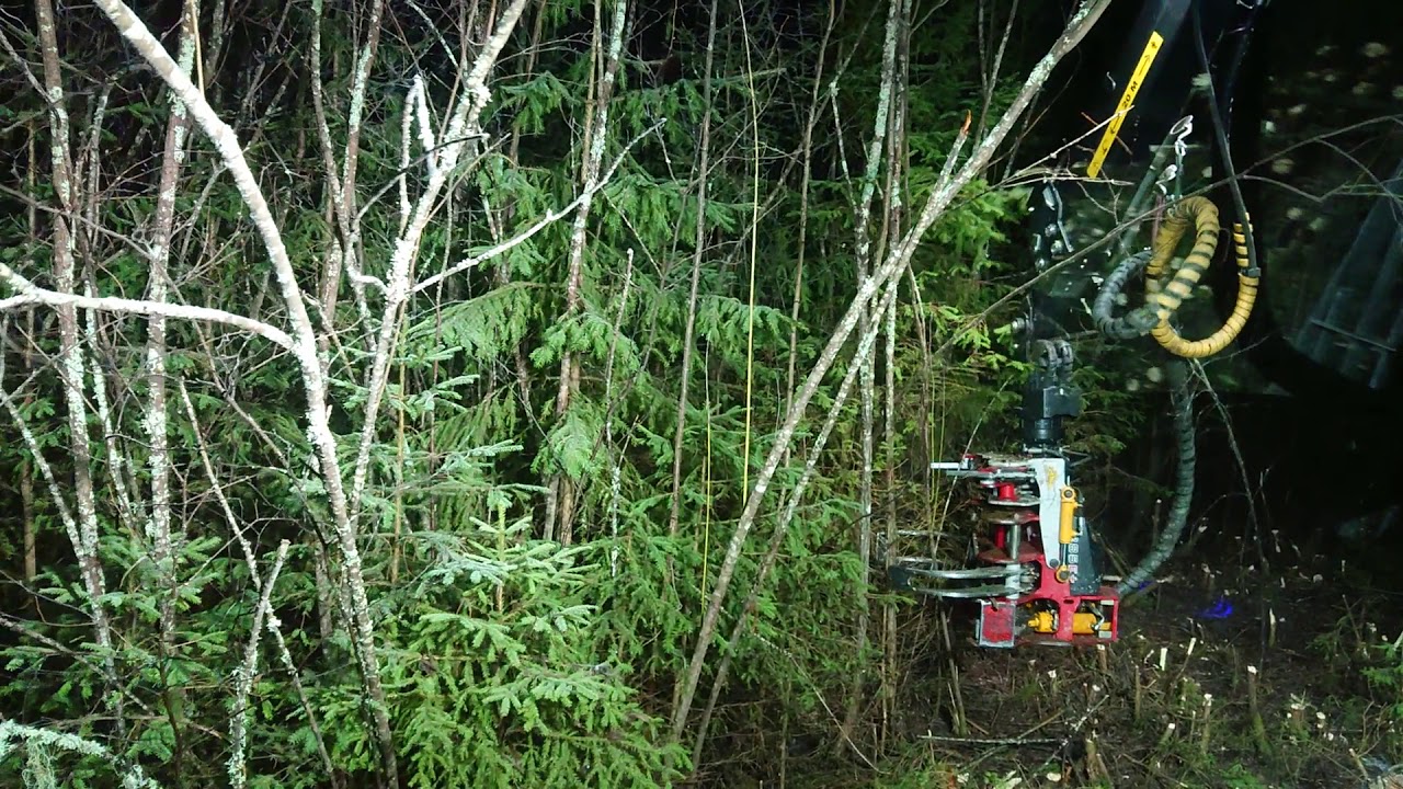 R&M Entreprenad klipper klen salix med valtra, palms och nisula 285E +