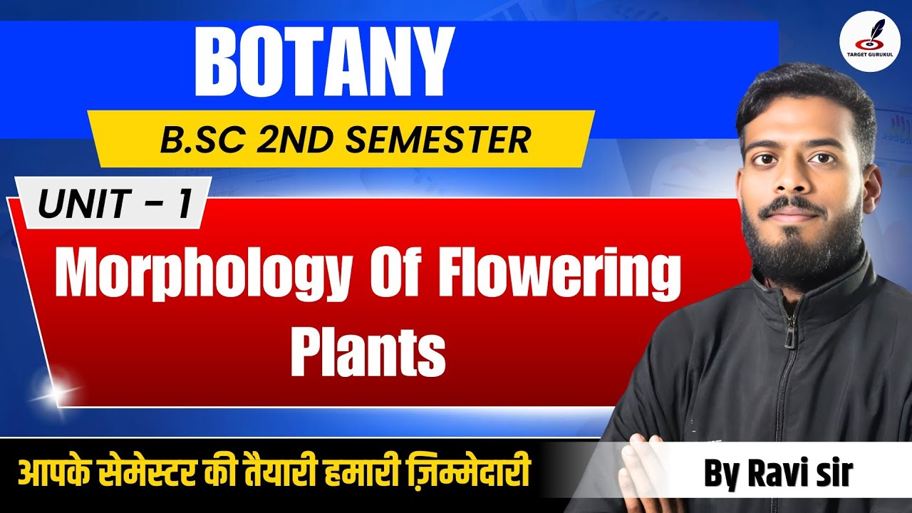 Morphology Of Flowering Plants I Introduction|B.Sc Botany 2nd Semester|Unit -1 B.Sc Botany 1st Year 