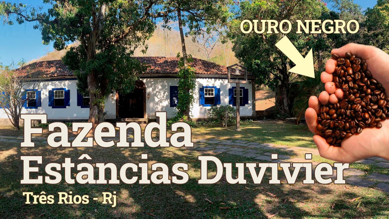 O TESOURO DO OURO NEGRO