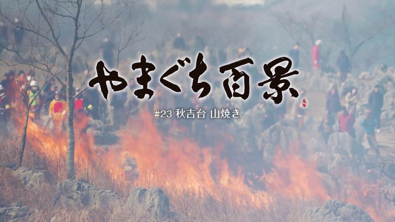 やまぐち百景#23 秋吉台　山焼き