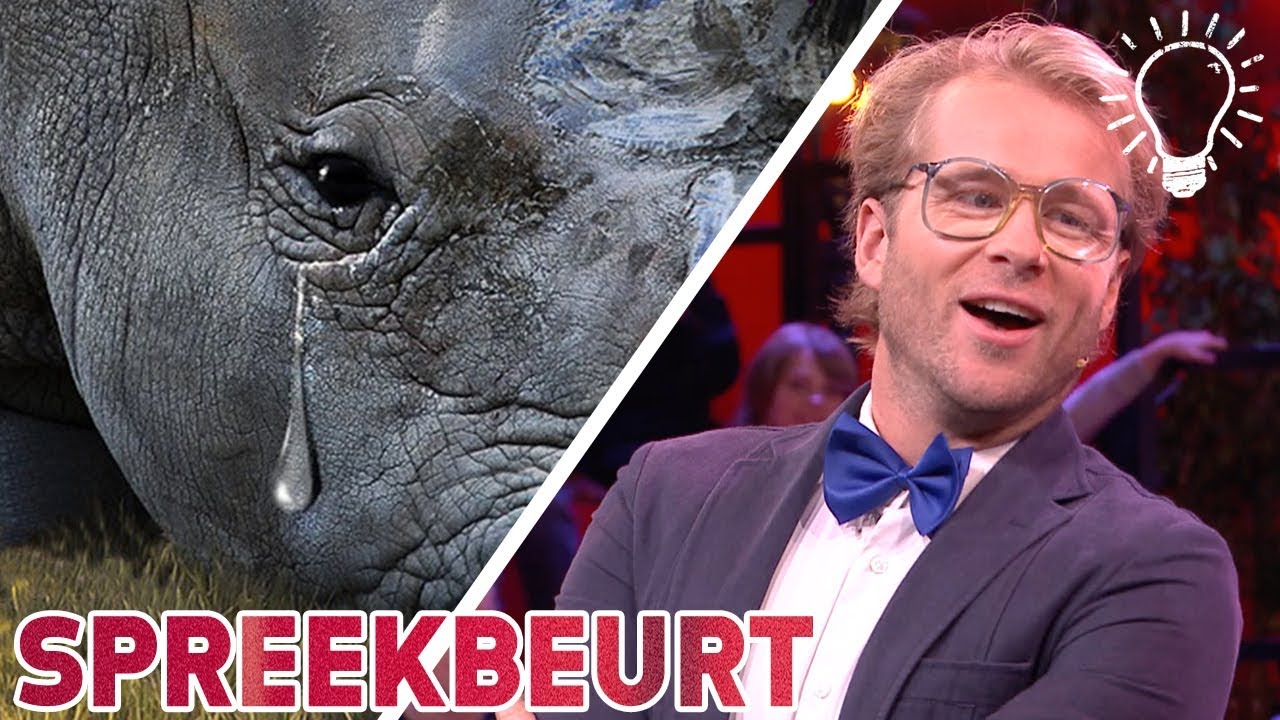 Dieren huilen niet - Spreekbeurt - Studio Snugger