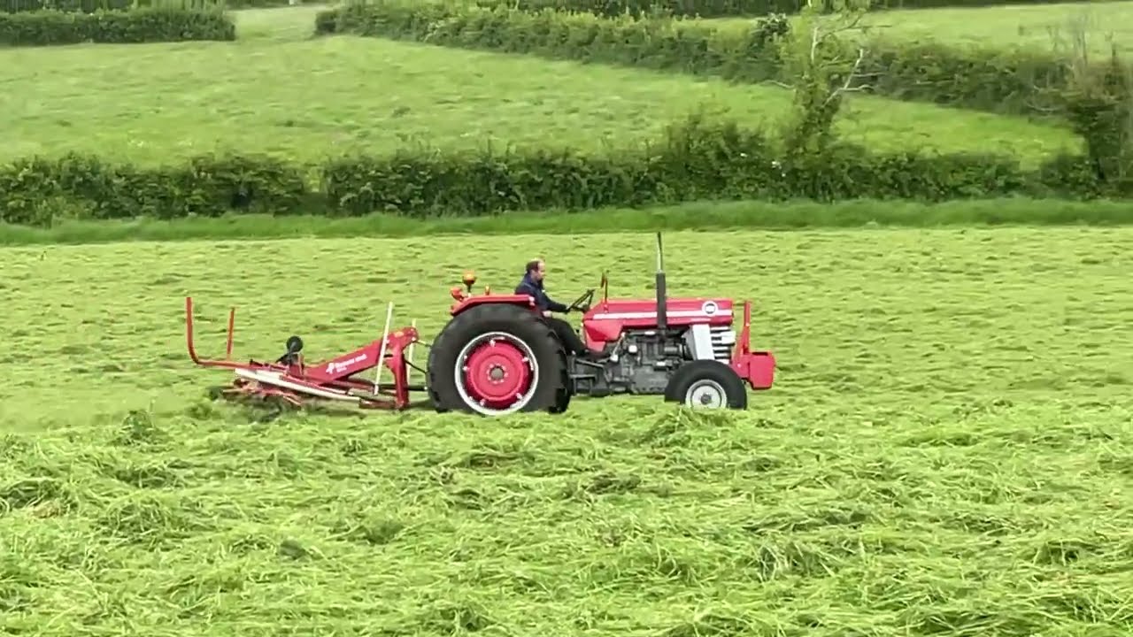 Massey 188 tedding grass 2023