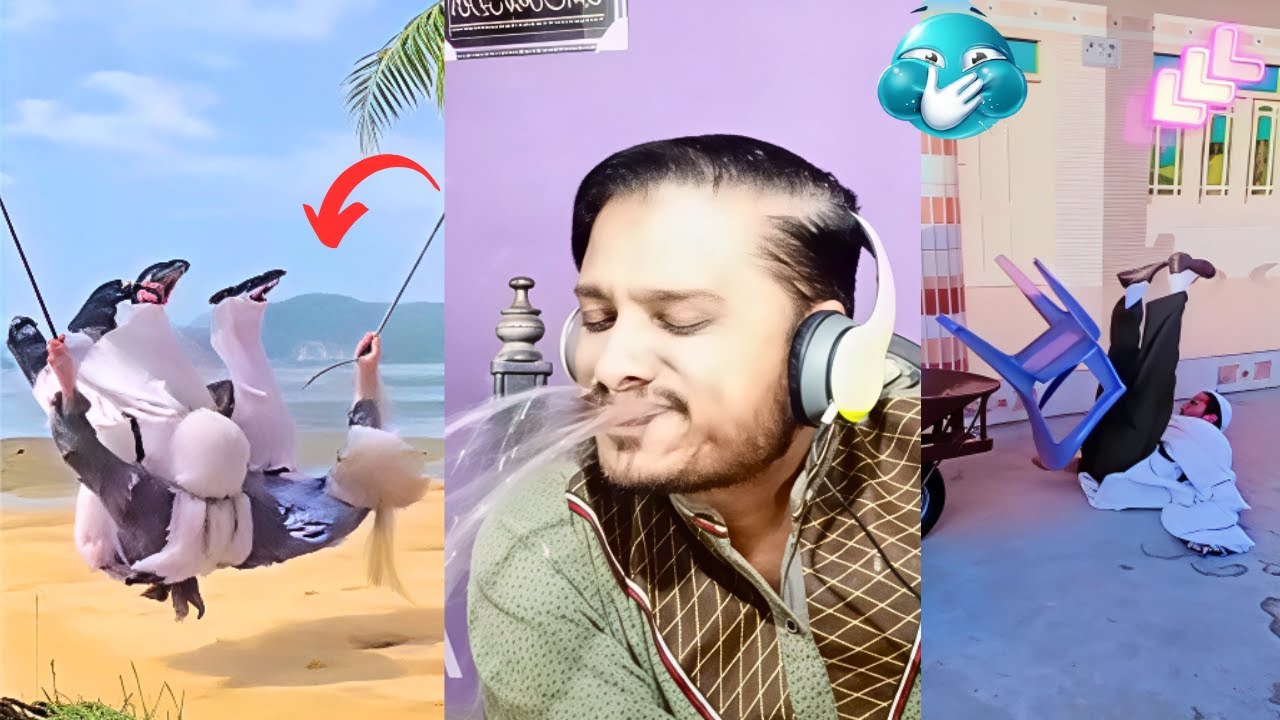 New Best Funny Try Not To Laugh😂 Challenge # 12 | Funny Fails Compilation |Dumb Buddy' Everywhere
