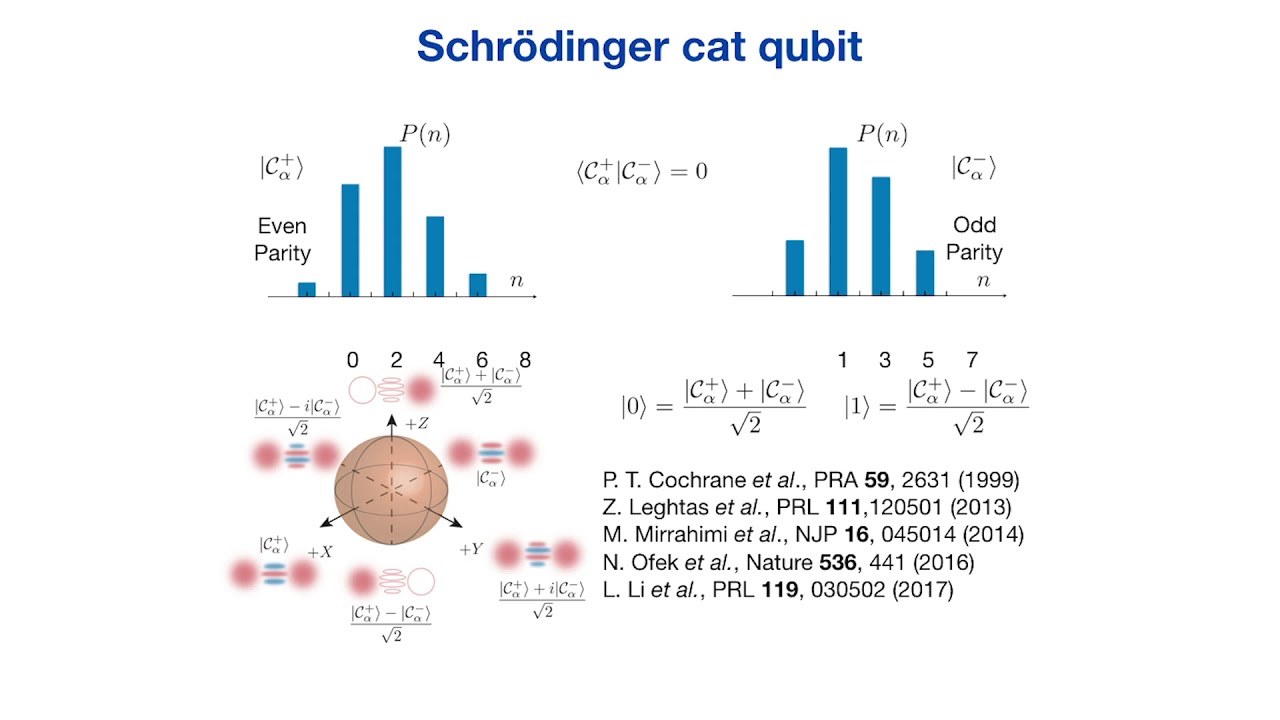 Shruti Puri (Yale University) - Quantum error correction tailored to biased noise cat qubits