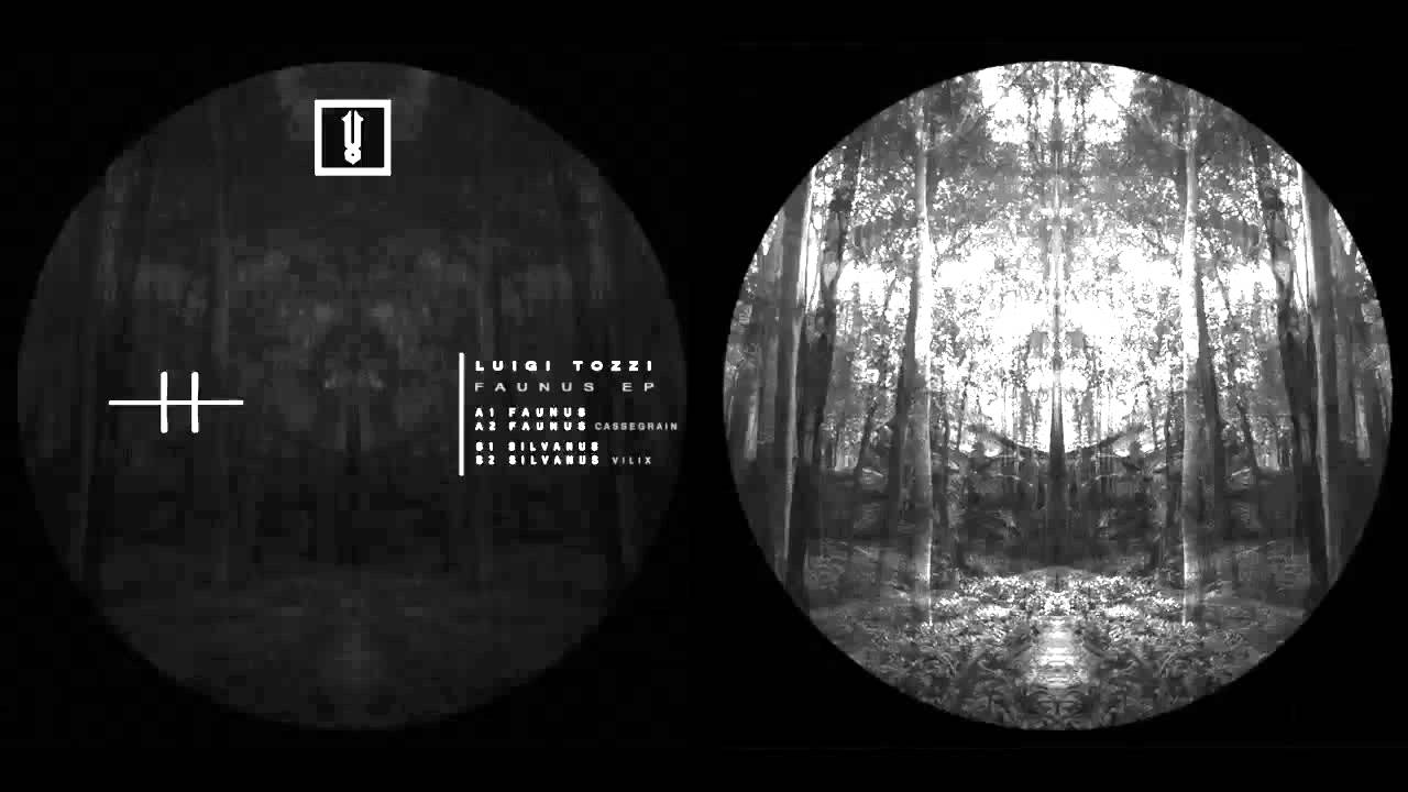 Luigi Tozzi - Pomona (Digital Exclusive) [MMV002]